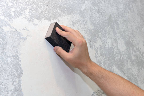 Mold Documentation for Insurance Claims in Huntingtown, MD