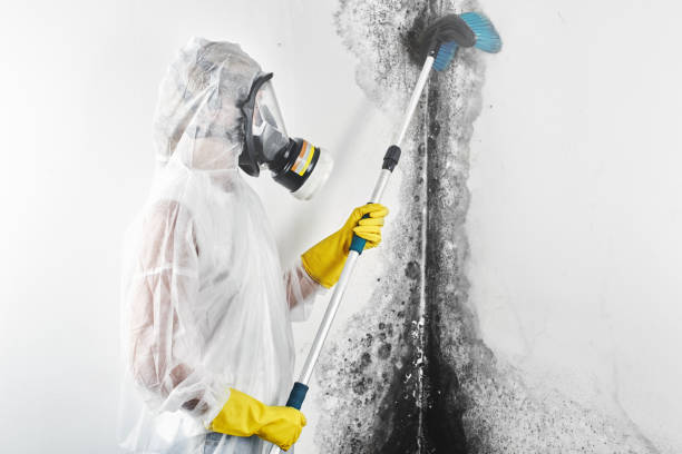 Best Crawl Space Mold Remediation  in Huntingtown, MD