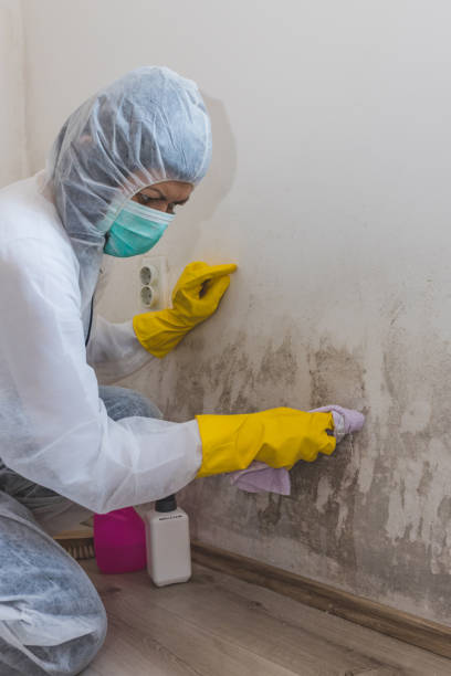 Best Post-Remediation Verification Testing  in Huntingtown, MD