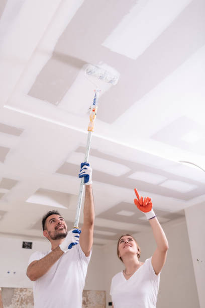 Best Black Mold Removal  in Huntingtown, MD