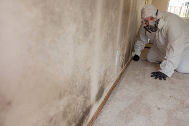 Huntingtown, MD Mold Removal Company