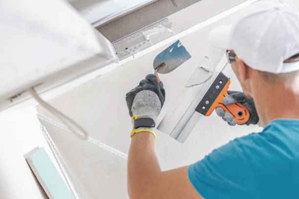 Best Comprehensive Air Testing for Mold Contaminants  in Huntingtown, MD